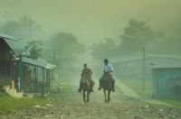 Reiter Im Nebel